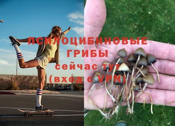 марки nbome Алексин