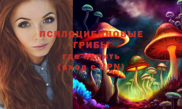 прущий лед Арсеньев
