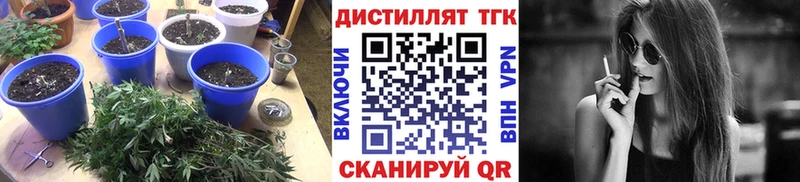 Дистиллят ТГК жижа  закладка  MEGA ONION  Воткинск 