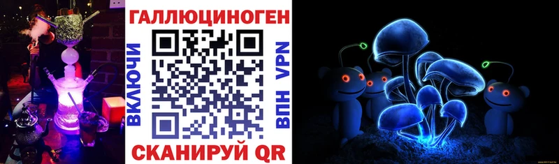 закладки Воткинск Псилоцибиновые грибы мицелий