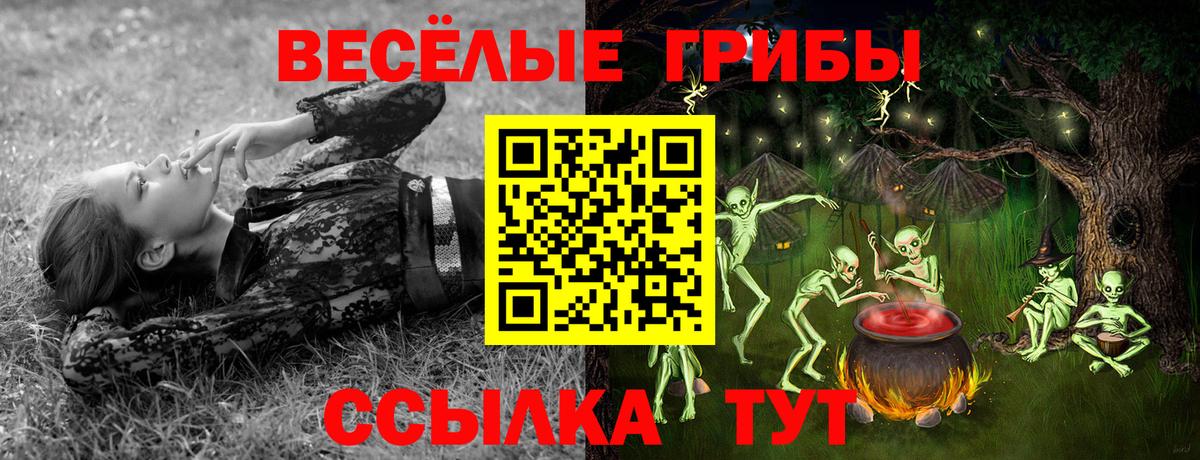 Галлюциногенные грибы GOLDEN TEACHER  Вход с VPN  Воткинск 