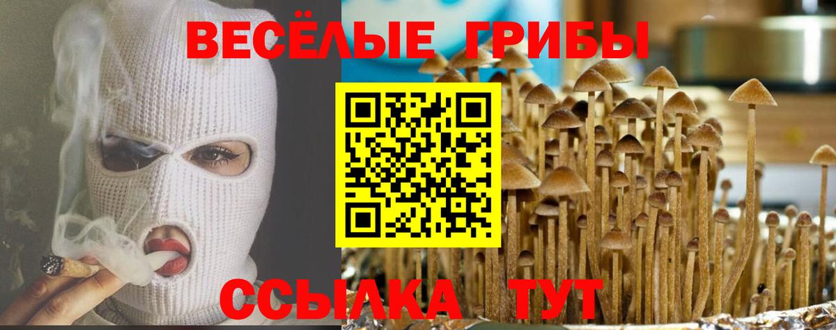 Галлюциногенные грибы Magic Shrooms Воткинск